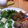 365behappy's cooksnap of when they made 春キャベツ☆やさしいお酢でゴマよごし.