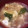 ディナーカレー's cooksnap of when they made わかめとなめこと卵の味噌汁.