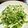 myrose's cooksnap of when they made ♪安ウマ♪水菜と鶏胸肉のサラダ.