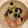 世田谷たっちゃん's cooksnap of when they made 簡単　鯛茶漬け.