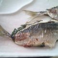 アラエッサ's cooksnap of when they made あじの梅しそ焼き.