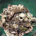 happy-nao's cooksnap of when they made ✿簡単 豚肉と糸こんにゃく　炒め✿.