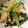 sawasour's cooksnap of when they made 小松菜とあげの簡単炒め煮.