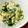 YKPON's cooksnap of when they made 簡単＊まったり♪ほうれん草の白和え.