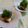 ぴよまめ。's cooksnap of when they made お豆腐で美味しさノリノリ♪.