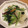 misomiso12's cooksnap of when they made 金針菜と甲イカの中華塩炒め.