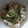 たぬとん's cooksnap of when they made 季節野菜と豆腐の炒め（翡翠豆腐）.