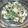 チャイクレのママ's cooksnap of when they made 鯵の簡単バジルあえ.