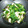 ビギナーもんちゃん's cooksnap of when they made ほうれん草とイカのバター醤油.