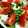 momaya's cooksnap of when they made かぶとトマトのサラダ　カプレーゼ風？.