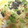sonop's cooksnap of when they made きつねとたぬきの仲良し丼♪.