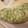 ハンクスさん's cooksnap of when they made ねぎの冷凍保存！.