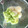 sayulovin's cooksnap of when they made ずんだ白玉だんご.