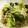 ぱもっく's cooksnap of when they made 簡単！ぽん酢で小松菜のおひたし.