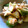 ぴかりんぼん's cooksnap of when they made たたききゅうりとささみの梅おかか和え.