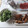 きらり流れ星's cooksnap of when they made 我が家の枝豆の茹で方.