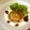 ローズレース's cooksnap of when they made マクロビ雑穀豆腐バーグ.