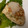 よん妻's cooksnap of when they made 砂糖なしでこげない　てりやきのたれ.