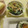miyuki12's cooksnap of when they made さっと一品♪梅クリチで和えもの.