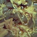 mayuuu's cooksnap of when they made レンジで5分☆こんにゃくの金平風.
