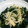 mio1987's cooksnap of when they made レンジで簡単★えのきとわかめのみぞれ煮.