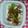 snts's cooksnap of when they made 鶏肉とネギの塩炒め♡.