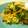 mihokid's cooksnap of when they made 水菜とベーコンの中華卵とじ.