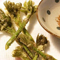 ma*o's cooksnap of when they made 今が旬！ウドの天ぷら.