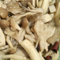 pg077782's cooksnap of when they made きのこのマリネ.