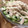 れんげ畑より。's cooksnap of when they made しっとり♡ささみのサラダ.