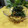 ぽっぽぺぺ's cooksnap of when they made ほうれん草のゴマ和え｡+☆+｡ﾟ.
