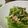 まｋｏ's cooksnap of when they made 小松菜とカニカマのマヨサラダ.