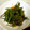 みったんく's cooksnap of when they made ししとうのGBS炒め.