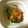 とっとこねこ's cooksnap of when they made ほうれん草のおひたし.