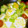 koedakko's cooksnap of when they made キャベツとゆで卵の蒸しサラダ.