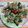 logicmania's cooksnap of when they made 水菜の豚バラ巻き.