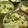 さらだaaa's cooksnap of when they made ❀我が家の✿豆ご飯❀.