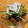 困ったトマト's cooksnap of when they made つまみだすと止まらない！砂肝の辛味噌炒め.
