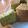 だんこいもころ's cooksnap of when they made 計量カップ　ｄｅ　緑茶シフォン.
