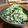 あいぱらりん's cooksnap of when they made ほうれん草のおかか胡麻マヨ和え.