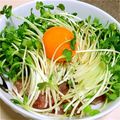 もりきょんよしきょん's cooksnap of when they made ユッケ風かいわれとマグロのサラダ.