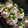 ♡ともちぃ♡'s cooksnap of when they made ちらし寿司にレンジと白だしde簡単すし酢.