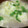 ＲiＫo's cooksnap of when they made 卵とえのきの中華スープ.