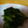 優桜ママ's cooksnap of when they made ほうれんそうのごま和え.