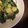 えころ's cooksnap of when they made 即席おつまみ☆ぴり辛きゅうり.