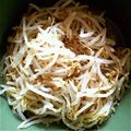 TeamASSM's cooksnap of when they made 簡単☆もやしナムル.