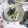 ＴＯＭＯＷＡＴ's cooksnap of when they made ∮もやしと三つ葉のわさびマヨ✰彡サラダ∮.
