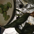 ゆかぽっくる's cooksnap of when they made そら豆の丸ごと塩焼き.