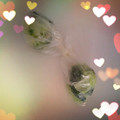 しろくまりん's cooksnap of when they made ＊小分け冷凍保存の方法＊.