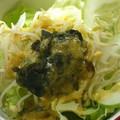 ママフィオ's cooksnap of when they made 簡単！もやしとわかめのサラダ♪.